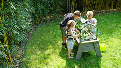Fun and educational: a vegetable garden for children