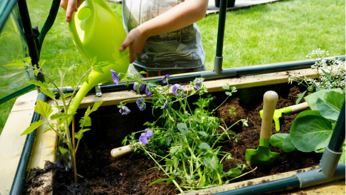 Fun and educational: a vegetable garden for children