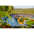 EXIT Stone pool ø427x122cm with filter pump - grey